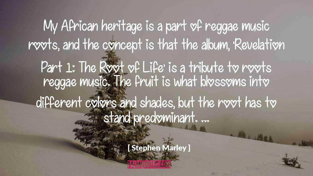 Stephen Marley Quotes: My African heritage is a
