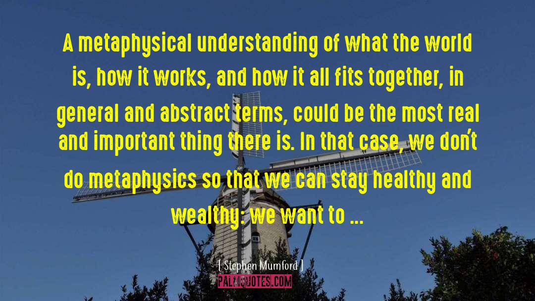Stephen Mumford Quotes: A metaphysical understanding of what