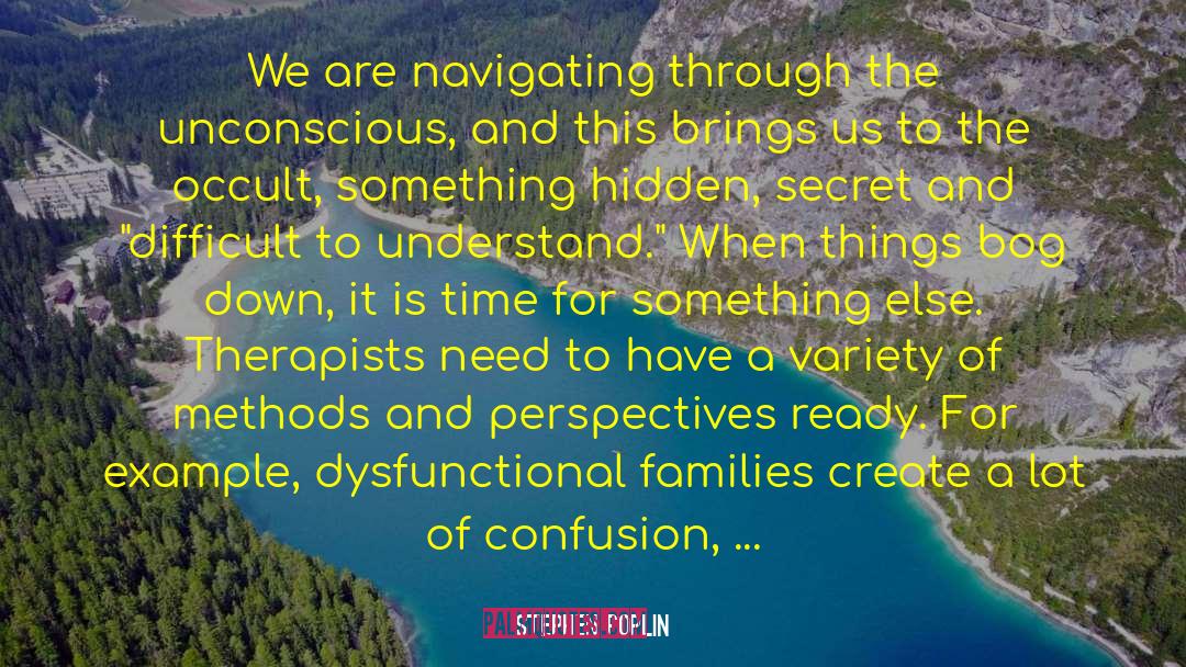 Stephen Poplin Quotes: We are navigating through the