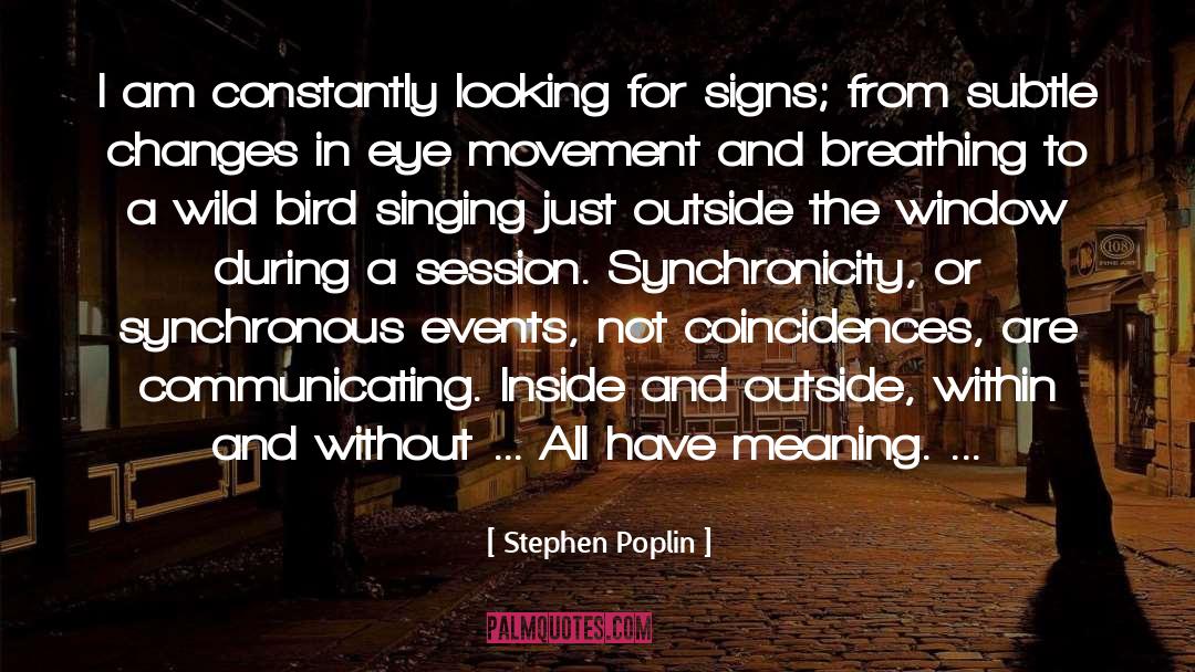Stephen Poplin Quotes: I am constantly looking for