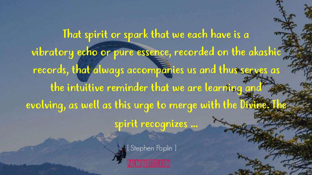 Stephen Poplin Quotes: That spirit or spark that