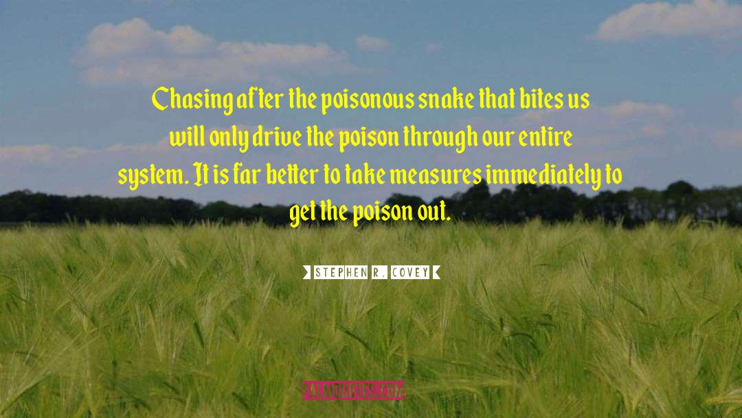 Stephen R. Covey Quotes: Chasing after the poisonous snake