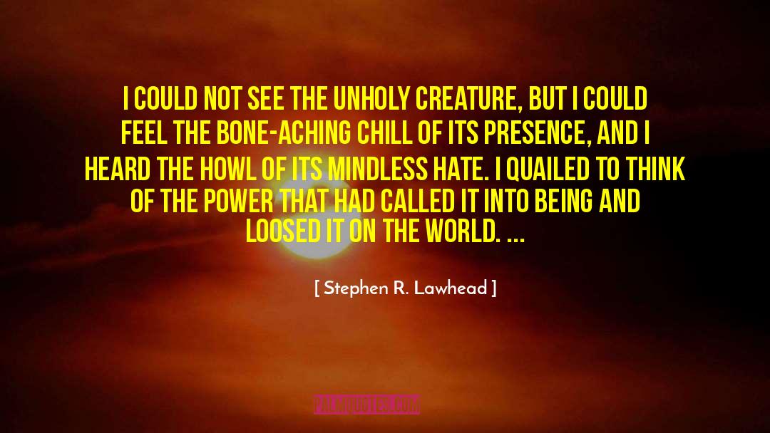 Stephen R. Lawhead Quotes: I could not see the