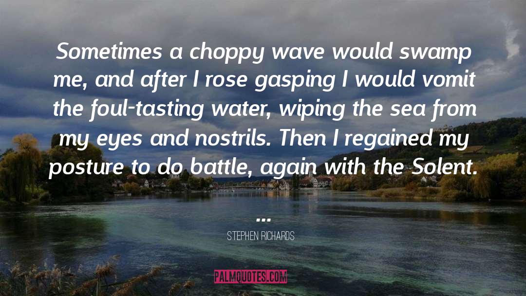Stephen Richards Quotes: Sometimes a choppy wave would