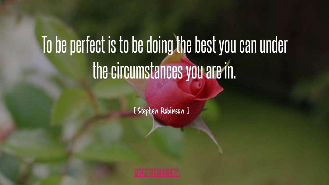 Stephen Robinson Quotes: To be perfect is to