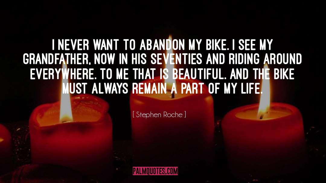 Stephen Roche Quotes: I never want to abandon