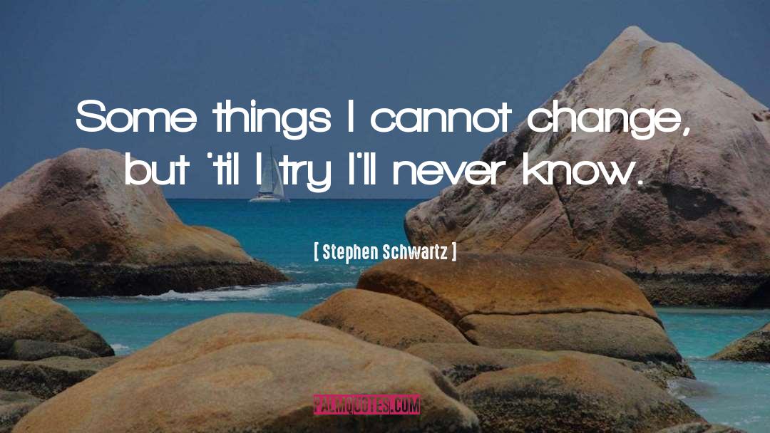 Stephen Schwartz Quotes: Some things I cannot change,