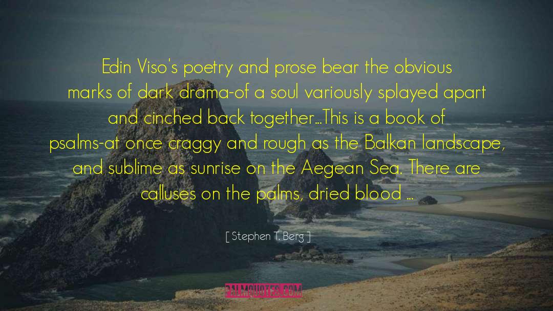 Stephen T. Berg Quotes: Edin Viso's poetry and prose