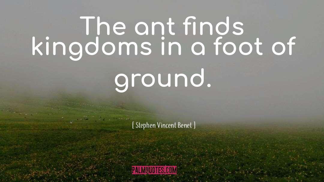 Stephen Vincent Benet Quotes: The ant finds kingdoms in