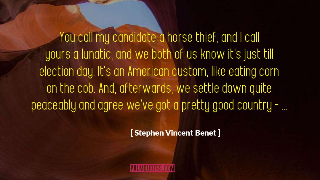 Stephen Vincent Benet Quotes: You call my candidate a