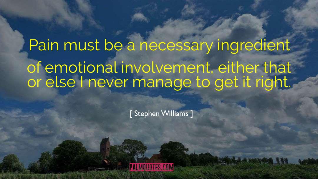Stephen Williams Quotes: Pain must be a necessary
