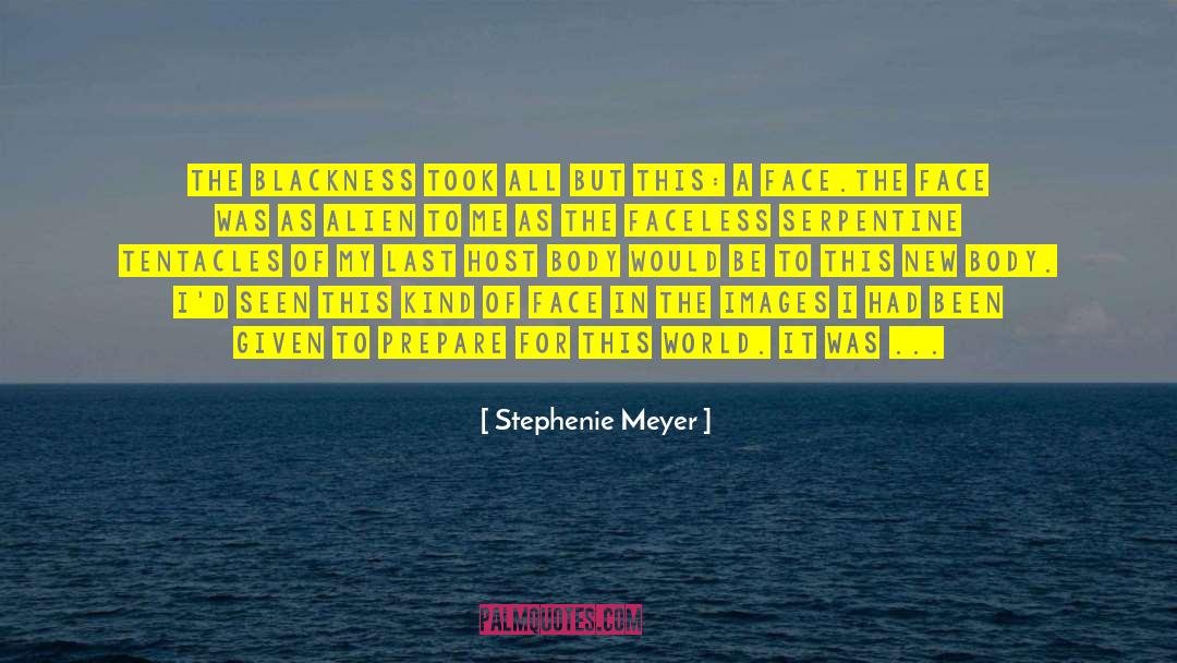 Stephenie Meyer Quotes: The blackness took all but