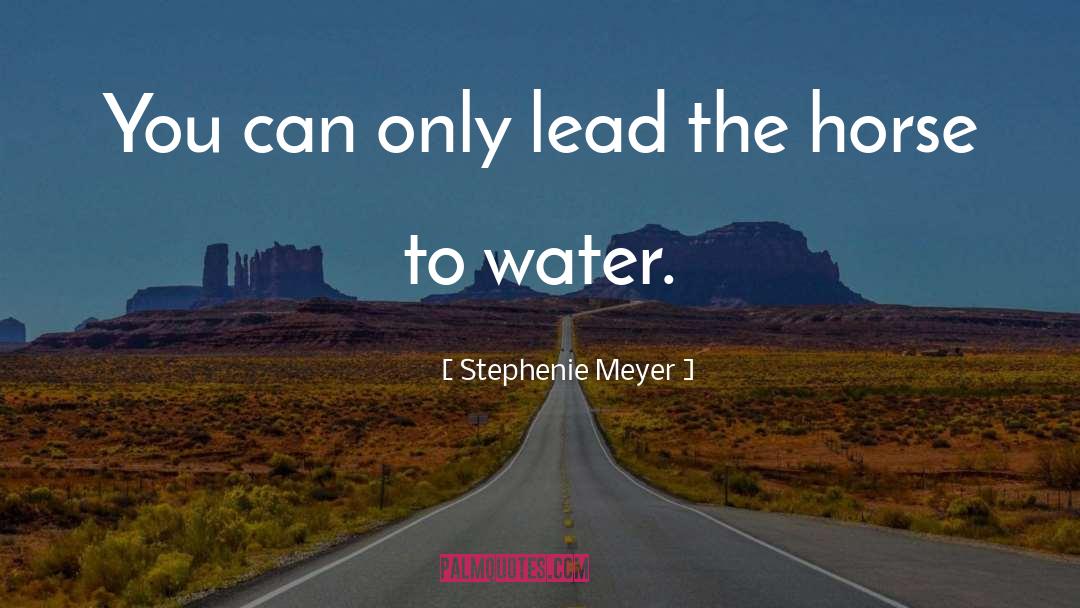 Stephenie Meyer Quotes: You can only lead the