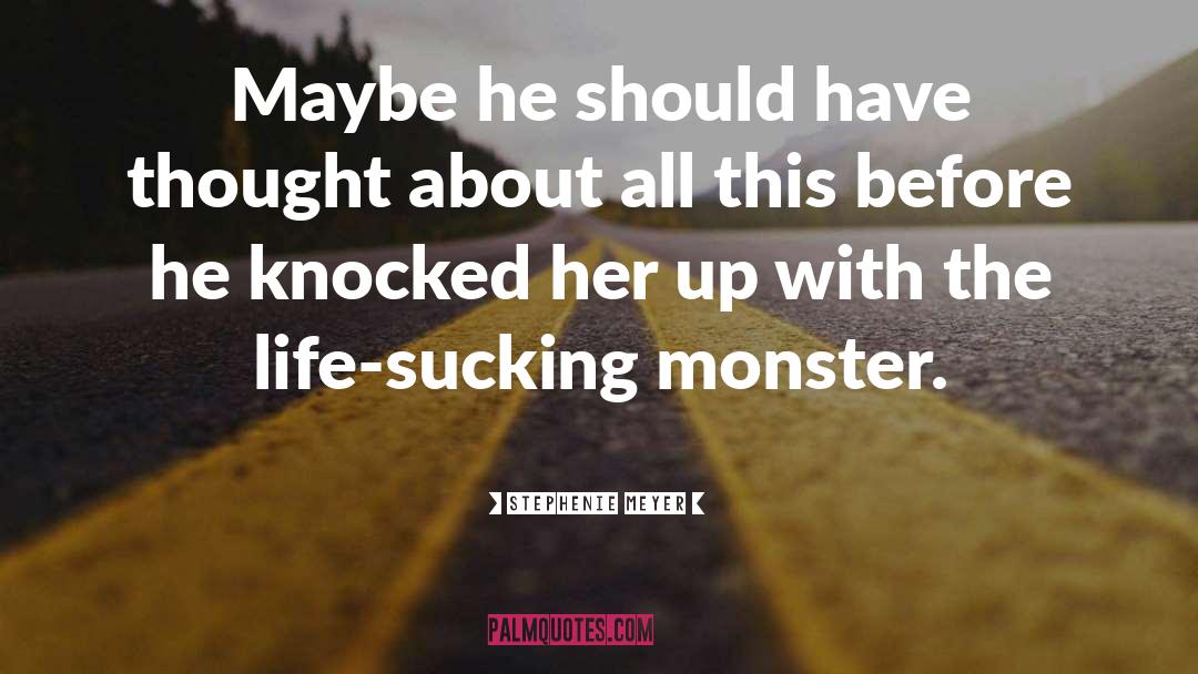 Stephenie Meyer Quotes: Maybe he should have thought