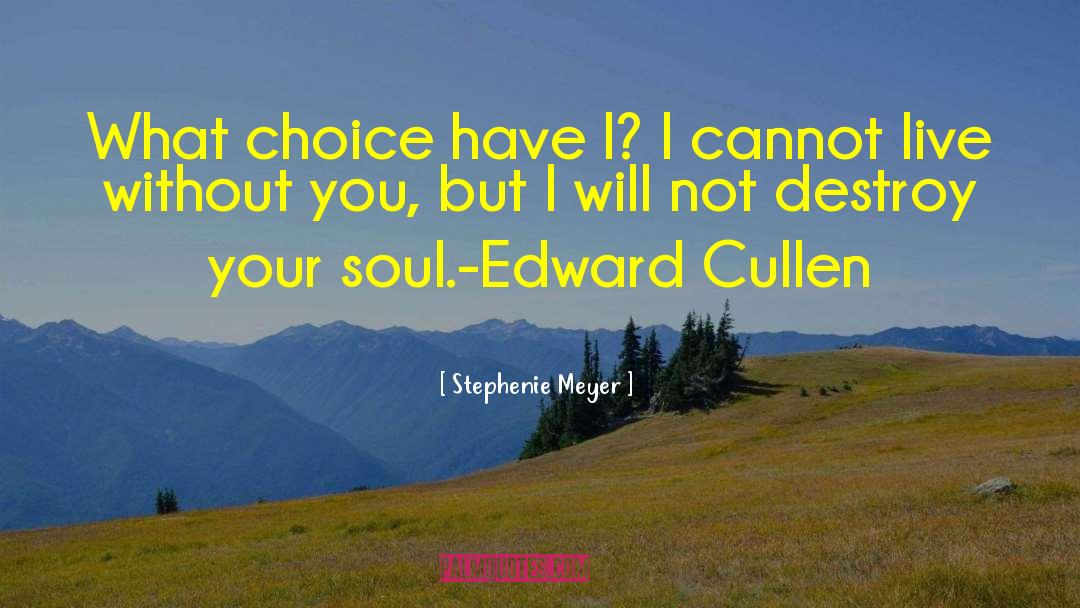 Stephenie Meyer Quotes: What choice have I? I