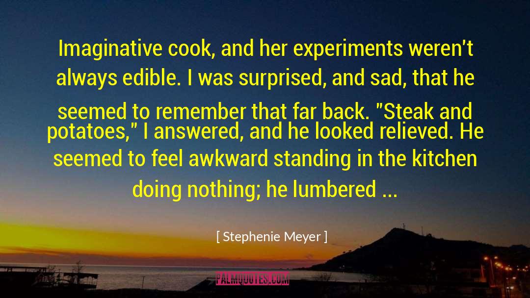 Stephenie Meyer Quotes: Imaginative cook, and her experiments