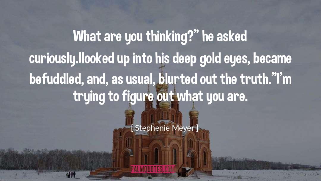 Stephenie Meyer Quotes: What are you thinking?