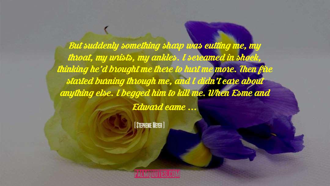 Stephenie Meyer Quotes: But suddenly something sharp was