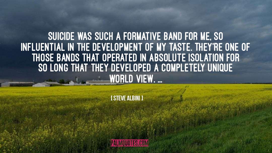 Steve Albini Quotes: Suicide was such a formative