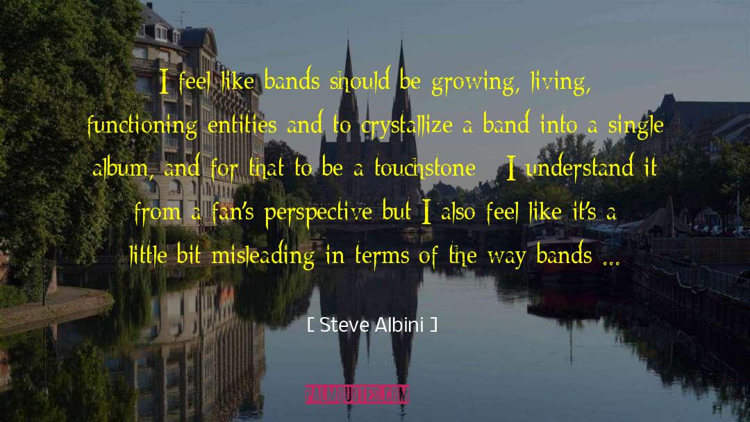 Steve Albini Quotes: I feel like bands should