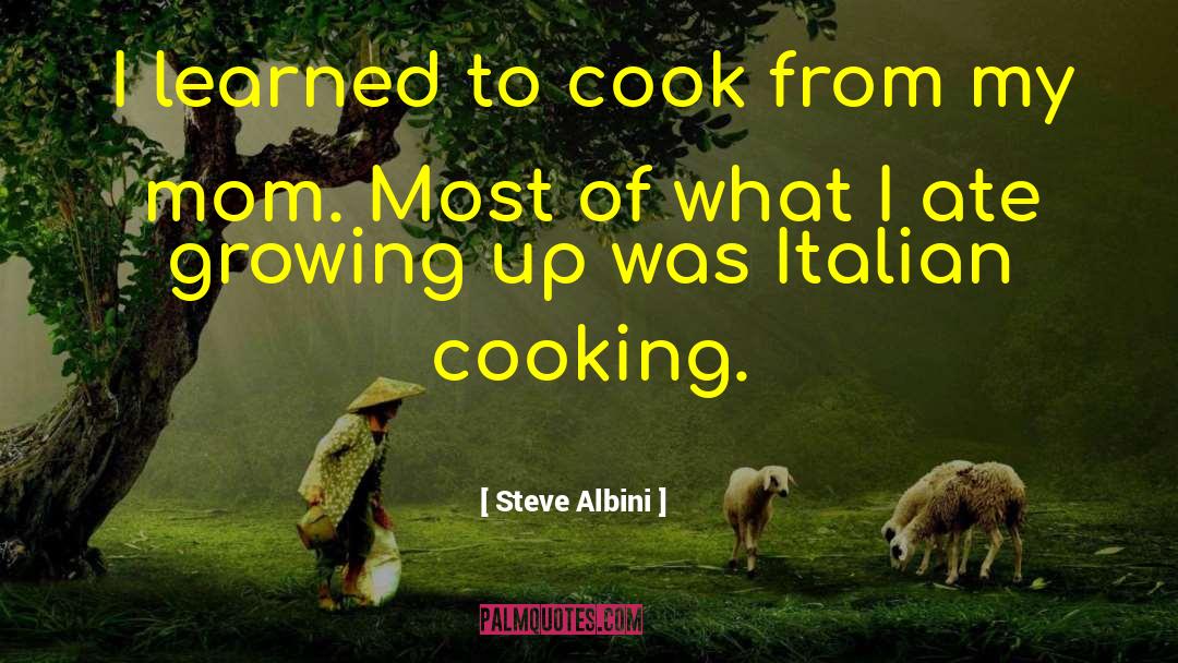 Steve Albini Quotes: I learned to cook from