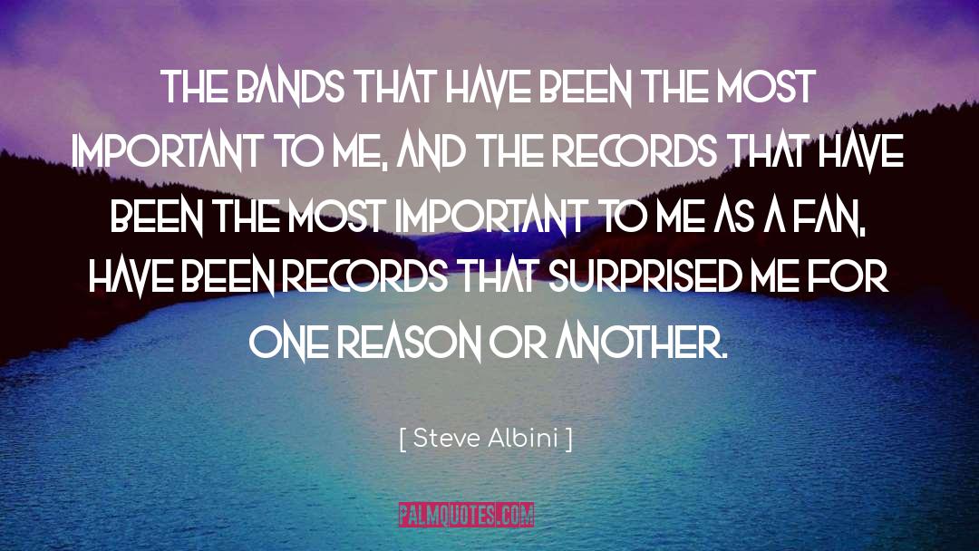 Steve Albini Quotes: The bands that have been