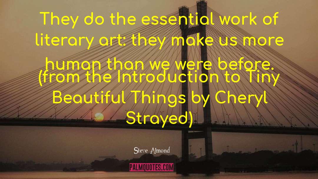 Steve Almond Quotes: They do the essential work