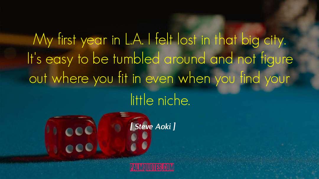 Steve Aoki Quotes: My first year in L.A.
