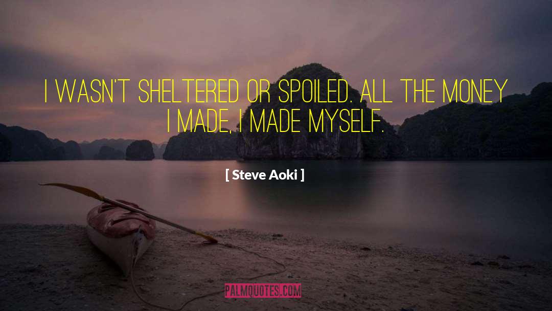 Steve Aoki Quotes: I wasn't sheltered or spoiled.