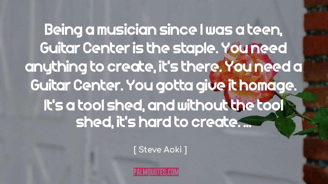 Steve Aoki Quotes: Being a musician since I