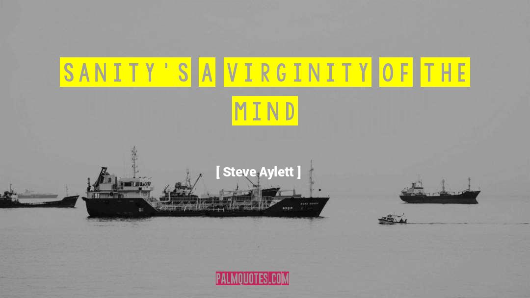 Steve Aylett Quotes: Sanity's a virginity of the
