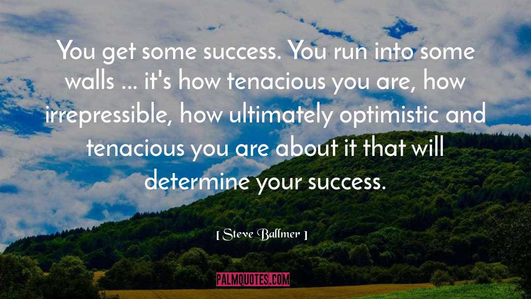 Steve Ballmer Quotes: You get some success. You