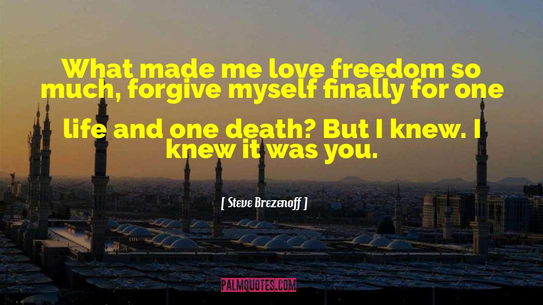 Steve Brezenoff Quotes: What made me love freedom