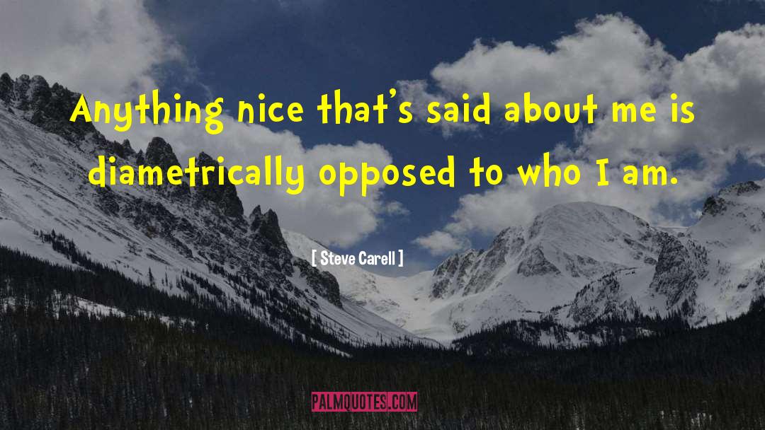 Steve Carell Quotes: Anything nice that's said about