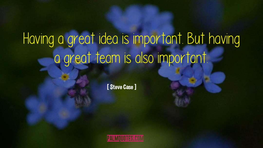 Steve Case Quotes: Having a great idea is