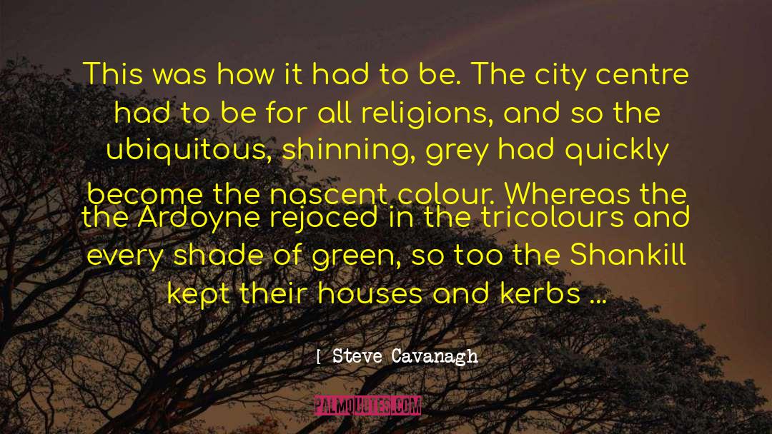 Steve Cavanagh Quotes: This was how it had