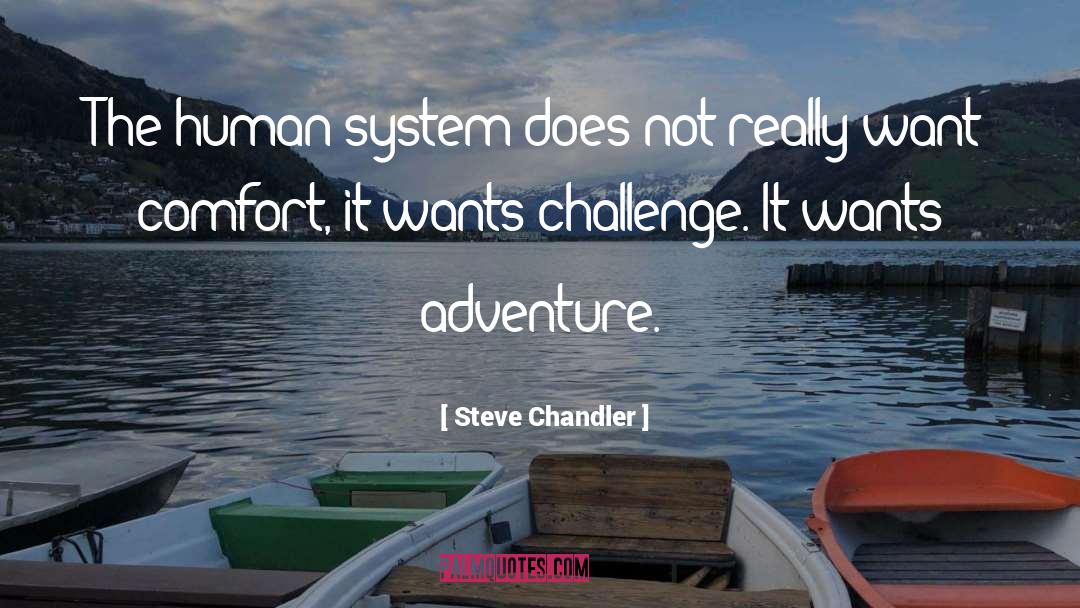 Steve Chandler Quotes: The human system does not