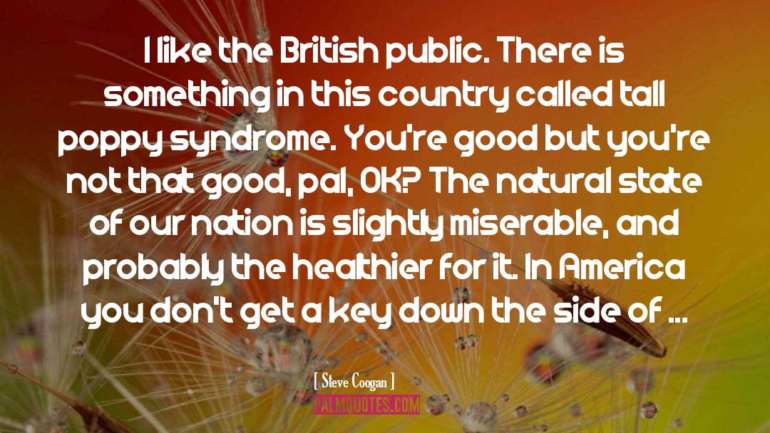 Steve Coogan Quotes: I like the British public.