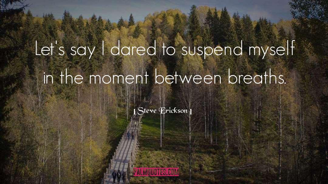 Steve Erickson Quotes: Let's say I dared to