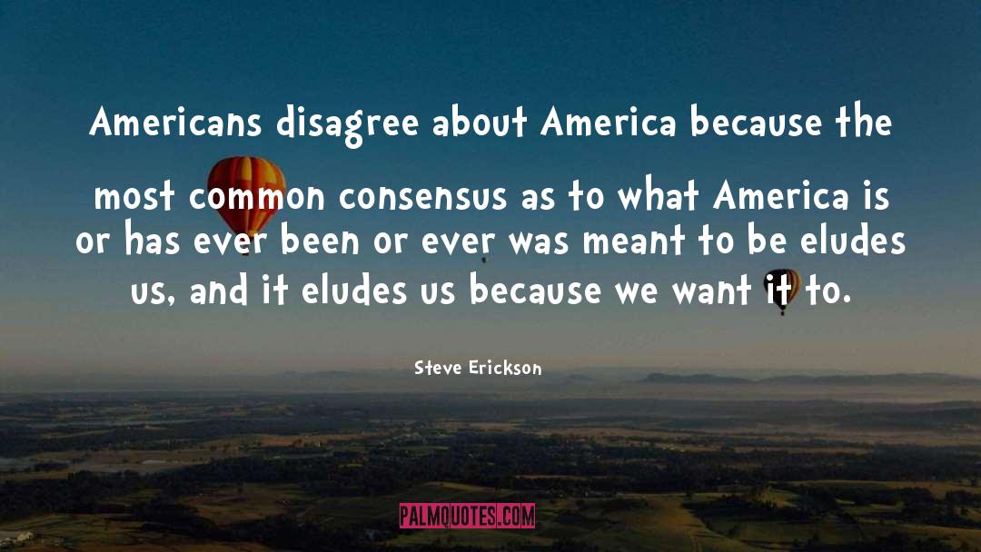 Steve Erickson Quotes: Americans disagree about America because