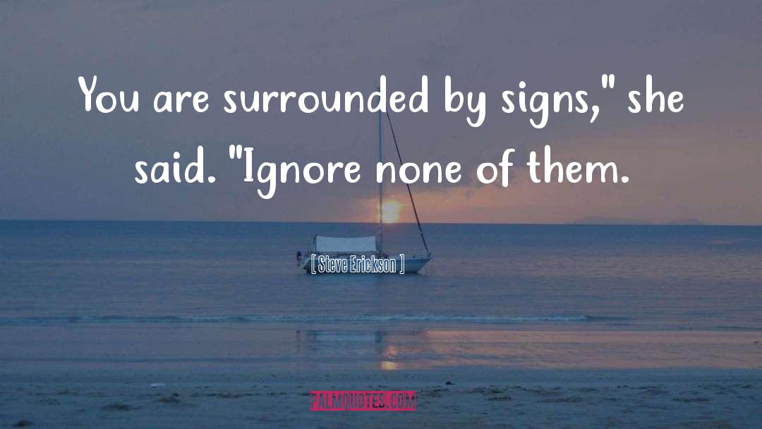 Steve Erickson Quotes: You are surrounded by signs,