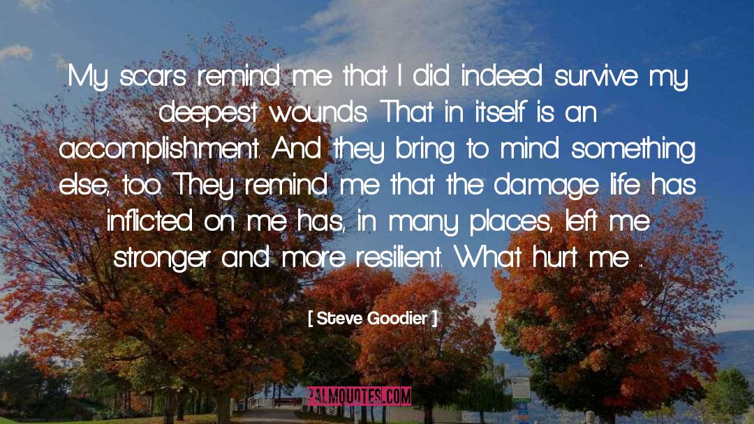 Steve Goodier Quotes: My scars remind me that