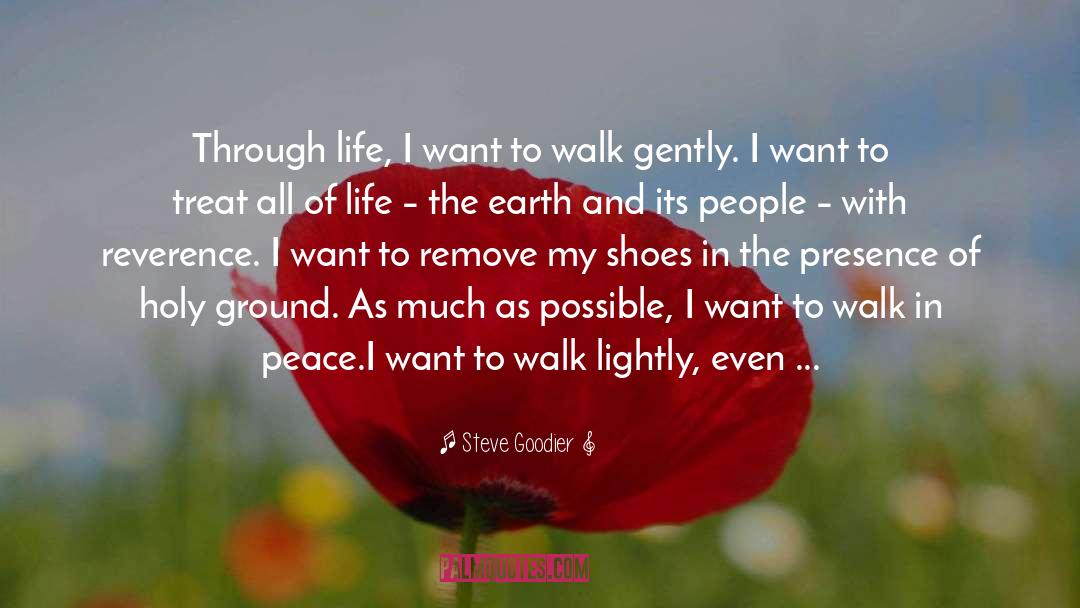 Steve Goodier Quotes: Through life, I want to