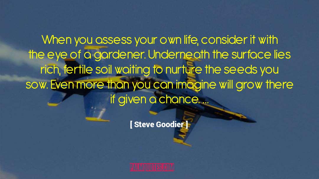 Steve Goodier Quotes: When you assess your own
