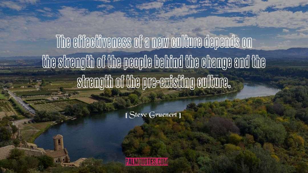 Steve Gruenert Quotes: The effectiveness of a new