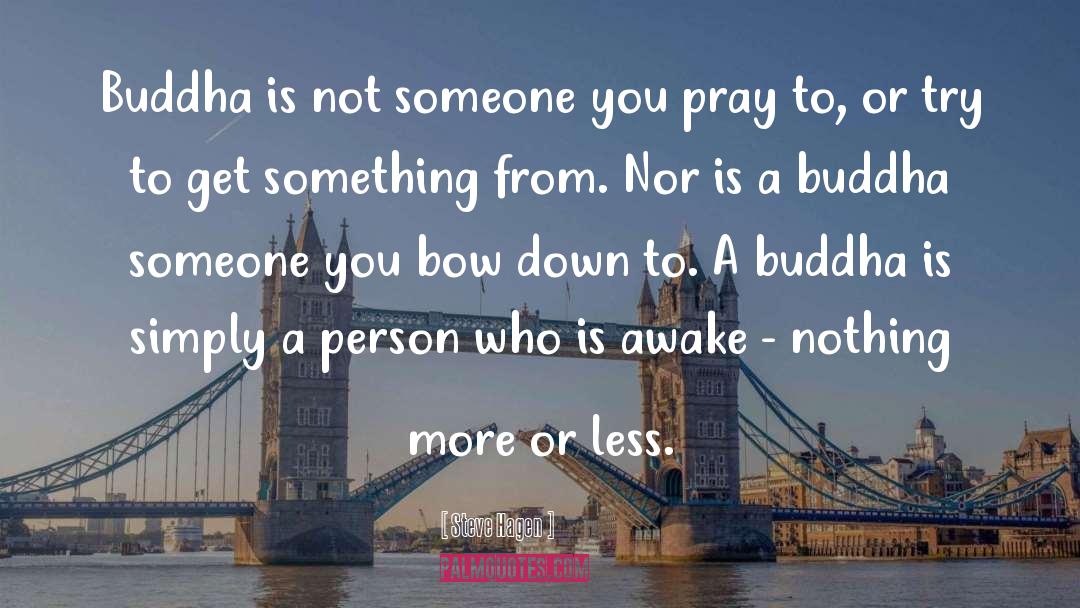 Steve Hagen Quotes: Buddha is not someone you