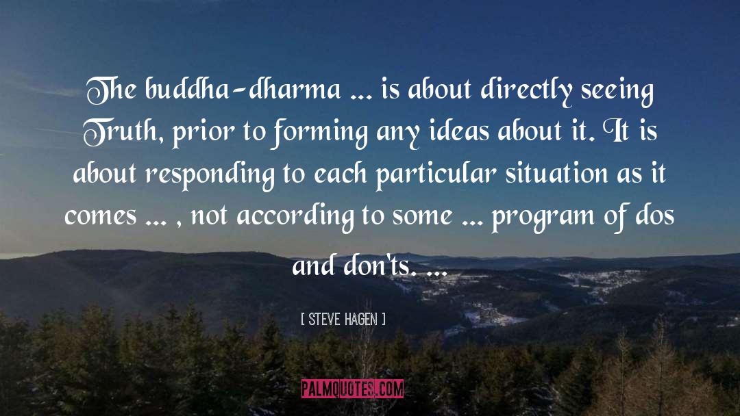 Steve Hagen Quotes: The buddha-dharma ... is about