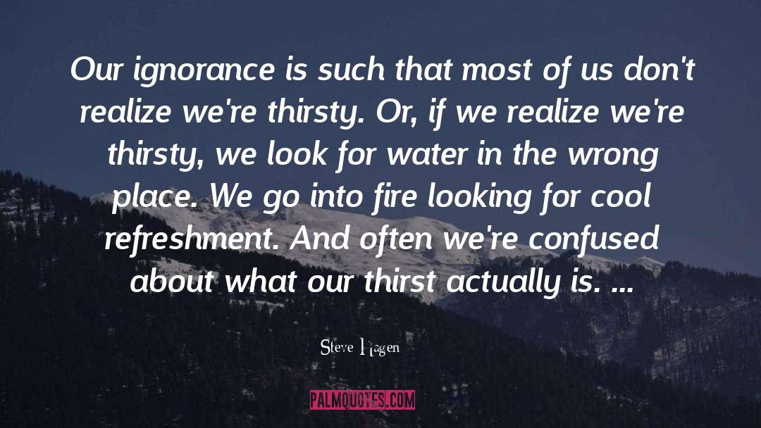 Steve Hagen Quotes: Our ignorance is such that