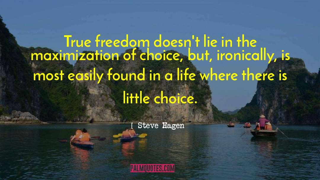 Steve Hagen Quotes: True freedom doesn't lie in