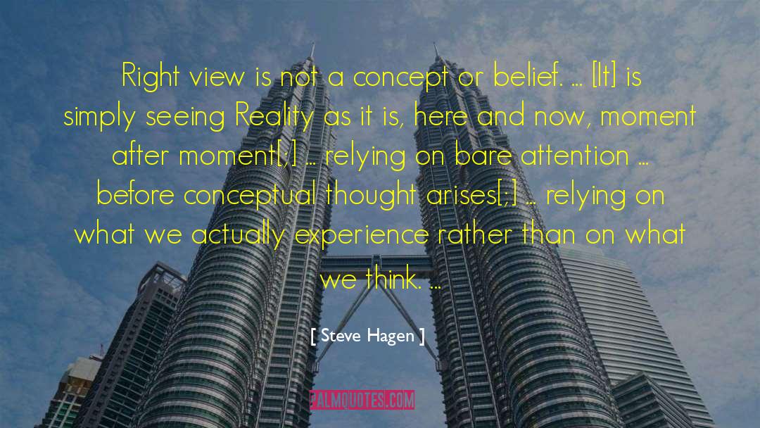 Steve Hagen Quotes: Right view is not a